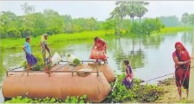 मनिहारी के धुरियाही पंचायत में बाढ़ से आवागमन बाधित, नाव ही सहारा