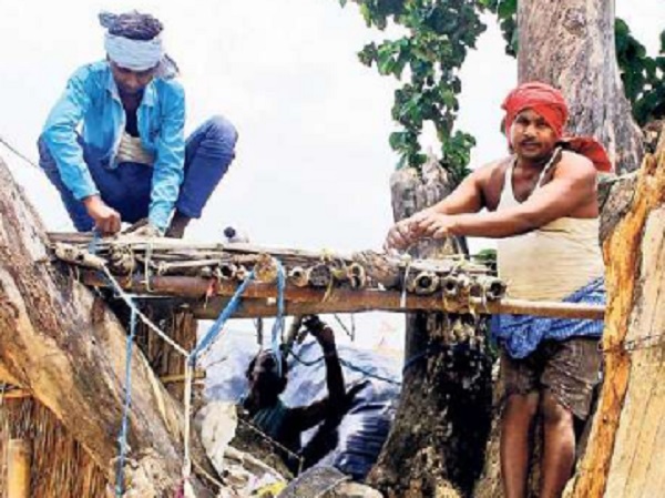 Bihar Flood: साल में 2 माह पेड़ों व मचानों पर कटती है इस गांव के लोगों की जिंदगी, एक शाम खाते हैं खाना