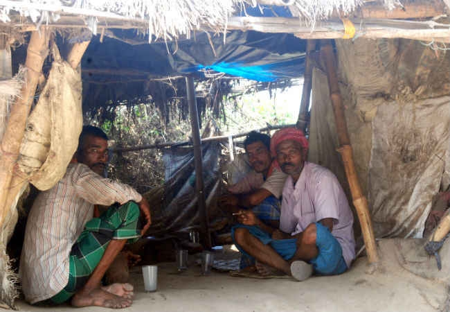 बिहार में बासी ताड़ी पीने से खराब हो रहा लिवर, IGIMS में 25 मरीज भर्ती, रोजाना आ रहे पांच मरीज