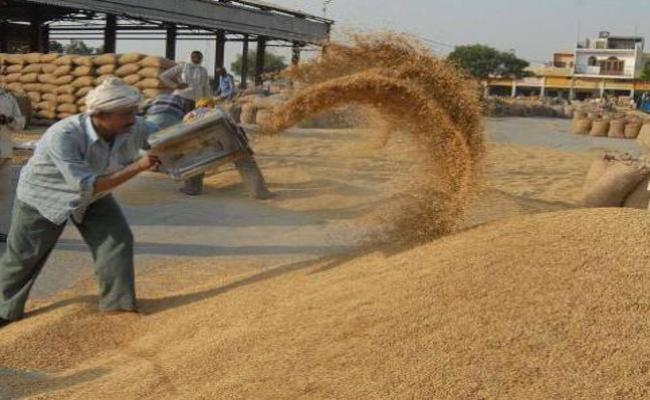 बिहार में रिकार्ड धान उत्पादन, साढ़े तीन लाख किसानों ने कराया रजिस्ट्रेशन, 1510 राइस मिल आगे आये, सरकार बढ़ायेगी स्टोरेज क्षमता