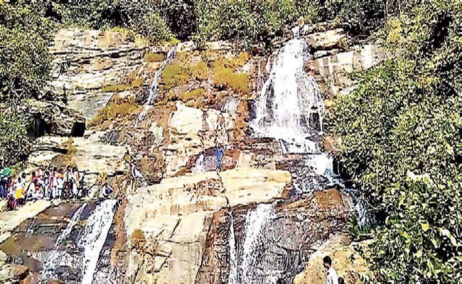पिकनिक के मौसम में बस वाले मांगें मोर, किराया 500 से 2,000 रुपये तक बढ़ा