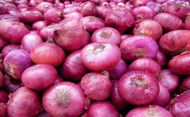 80 की स्पीड पर प्याज की कीमतें, सरकार को राजस्थान और मध्य प्रदेश की नयी फसल भरोसा