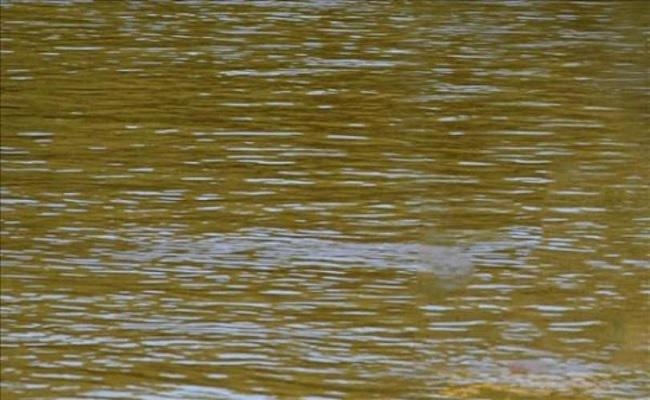 बच्चे को नहर में फेंक मां ने भी लगायी छलांग, फिर…