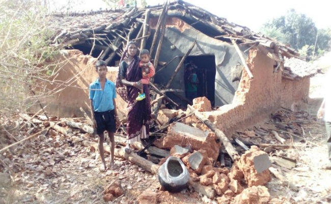गुमला के जारी में हाथी घुसे, उत्पात मचाया, कई घरों को तोड़ा, लोगों ने भागकर जान बचायी