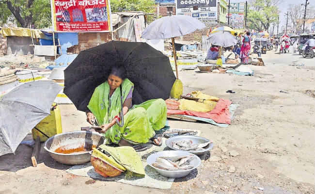…तो रांची के बाजारों से गायब हो जायेंगी मछलियां!