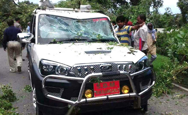 रोहतास : बाल-बाल बचे बिक्रमगंज के SDM, गाड़ी पर गिरी पेड़ की टहनी