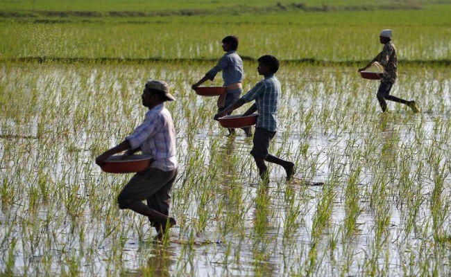 न्यूनतम वेतन के फाॅर्मूले पर विचार करने के लिए सरकार ने बनायी नयी समिति
