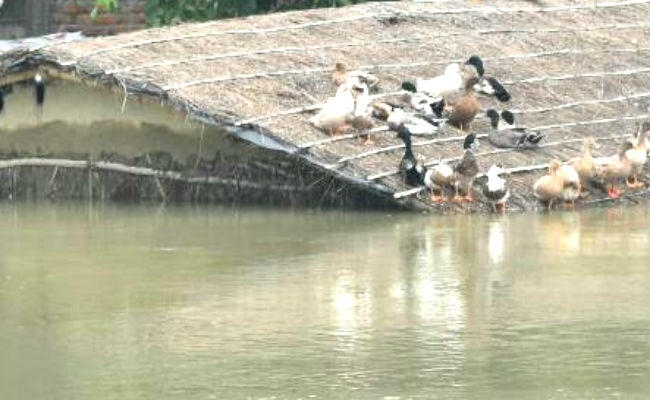 बिहार में बाढ़ : घटने लगा जलस्तर, दिखने लगी तबाही, परेशानी बरकरार