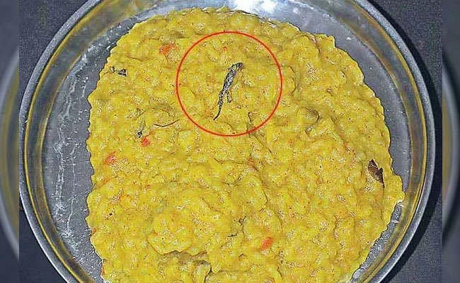 आंगनबाड़ी केंद्र की खिचड़ी में छिपकली, फूटा अभिभावकों का आक्रोश