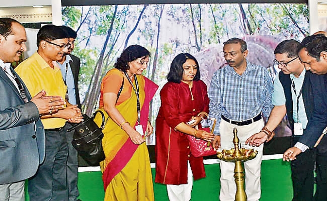 अंतरराष्ट्रीय फिल्म फेस्टिवल के इतिहास में झारखंड पहला फोकस राज्य, फिल्म उद्योग की असीम संभावनाएं