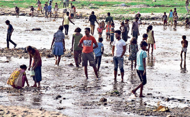 सिलीगुड़ी : ….जब महानंदा नदी में मछली लूटने की मची होड़