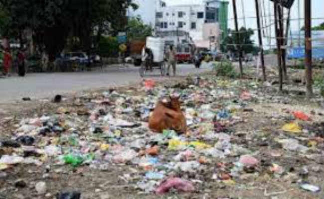 मधुपुर : शहर में हर तरफ पसरी गंदगी, नहीं होती सफाई