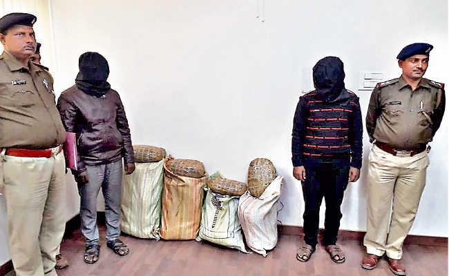 रांची : 20 लाख के गांजा के साथ महिला सहित तीन गिरफ्तार