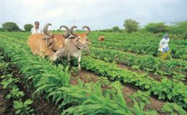 बदलते मौसम को देख होगी खेती, विकसित किया जायेगा सिस्टम