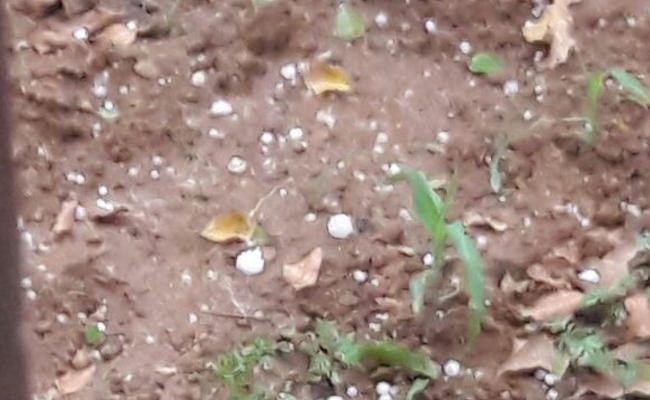 बोकारो का मौसम बदला, बारिश के साथ गिरे बर्फ, धनबाद, रामगढ़, कोडरमा में भी बदलेगा मौसम