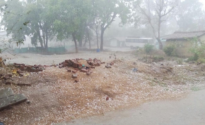 IN PICS : बर्फबारी से फसल बर्बाद, आंधी-बारिश से जगह-जगह पेड़ गिरे, सड़कें जाम, उजड़ गयी दुकान