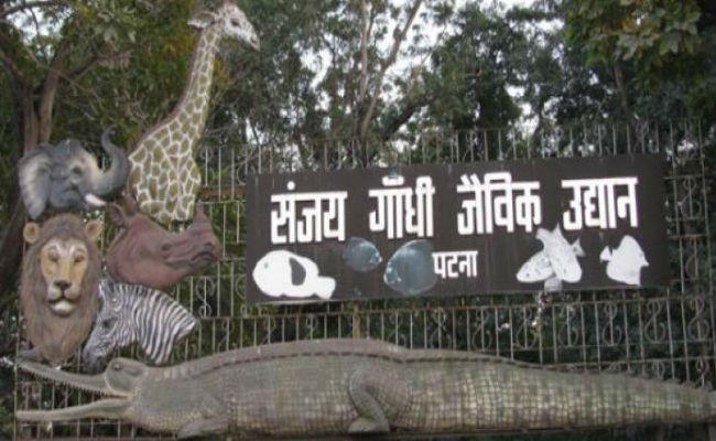 वर्ल्ड लेवल का डेवलेप होगा बिहार का इकलौता चिड़ियाघर, सेंट्रल जू अथॉरिटी ने किया संजय गांधी जैविक उद्यान का चयन