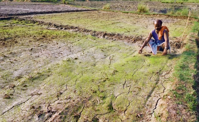 मॉनसून कमजोर : मौसम में इस साल लगातार हो रही उठापटक, जनजीवन प्रभावित