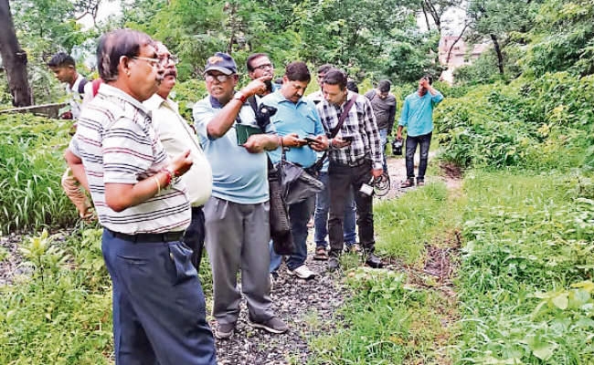 रांची : ज्यादा वजन नहीं सह सकती पहाड़ी, मिट्टी का कटाव रोकने के लिए लेमन ग्रास और पौधे लगाना जरूरी