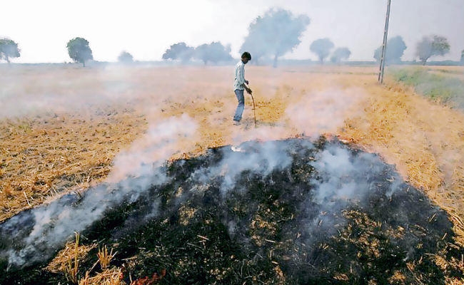 पटना :पुआल बनेगा आमदनी का जरिया, दो कृषि विश्वविद्यालय करेंगे काम