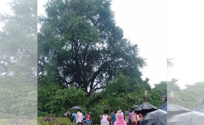 चांडिल के घोड़ानेगी में वर्षों पुराना इमली का पेड़ गिरा, पांच बाइक को लिया चपेट में