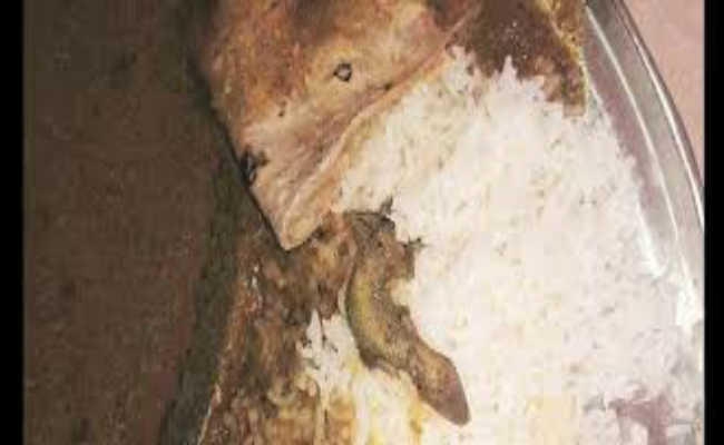 लोहरदगा के कैरो में मिड डे मिल में मिली छिपकली