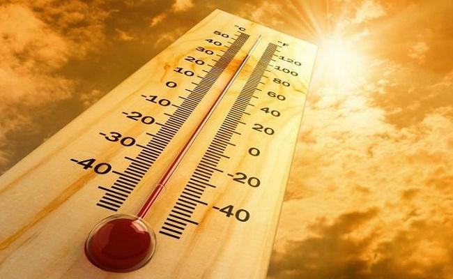 बिहार में लू लगने से अब तक 83 लोगों की मौत, 21-22 जून को अच्छी बारिश की संभावना
