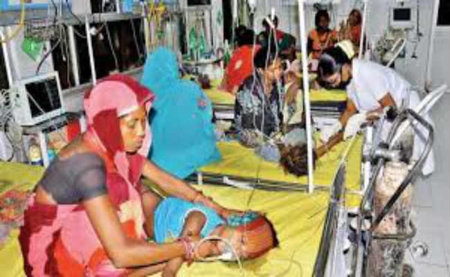 चमकी बुखार का कारण लीची नहीं, बल्कि कुपोषण