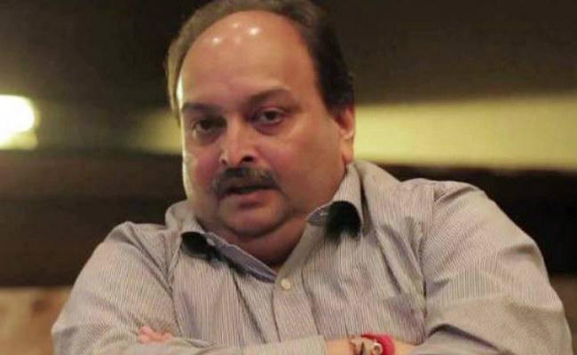 दबाव के आगे झुका एंटीगुआ! मेहुल चोकसी की नागरिकता होगी रद्द, लाया जाएगा वापस भारत