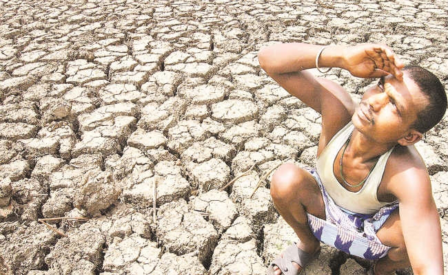 झारखंड में 55 फीसदी कम हुई बारिश, खेती प्रभावित