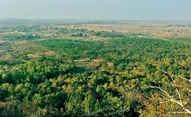हजारीबाग में फर्जी दस्तावेज से बेच दी 500 एकड़ वनभूमि, 500 लोगों को नोटिस जारी, रजिस्ट्री रद्द करने का आदेश