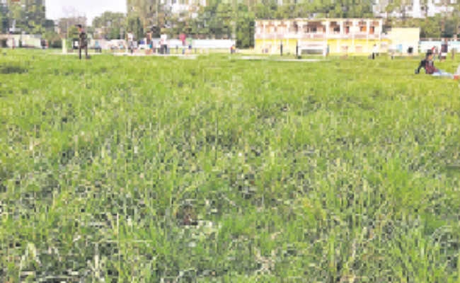 स्टेडियम में गड्ढों से खिलाड़ियों व लोगों को चोटिल होने का डर