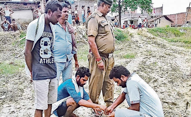 सीतामढ़ी में जमुरा नदी किनारे दिखे दो बाघ, लोगों ने मशाल जला कर खदेड़ा