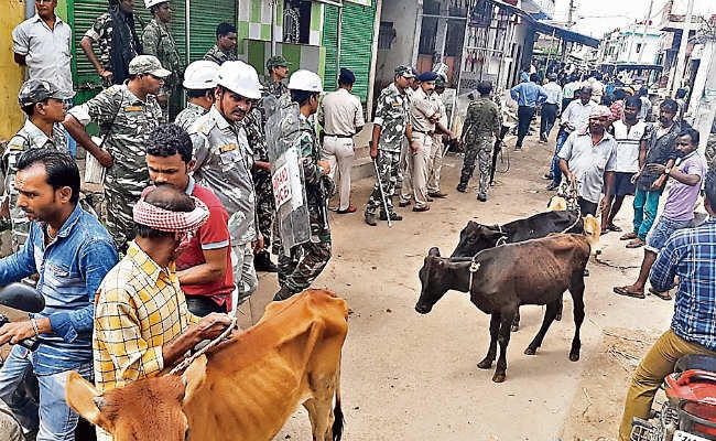 हजारीबाग : …जब पुलिस ने 10 बूचड़खाना को किया सील