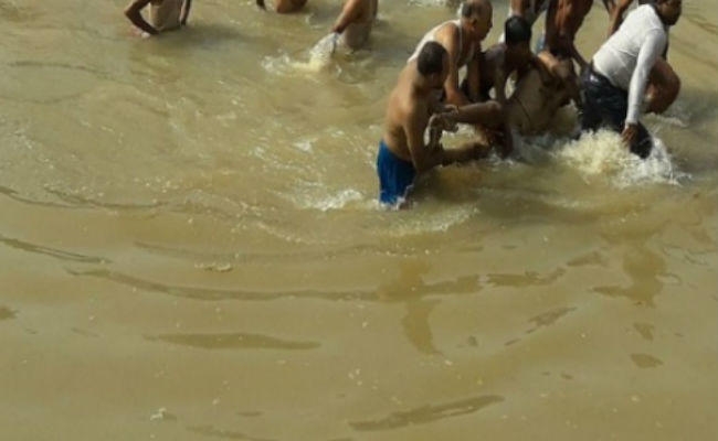 उत्तर बिहार में डूबने से 11 लोगों की गयी जान