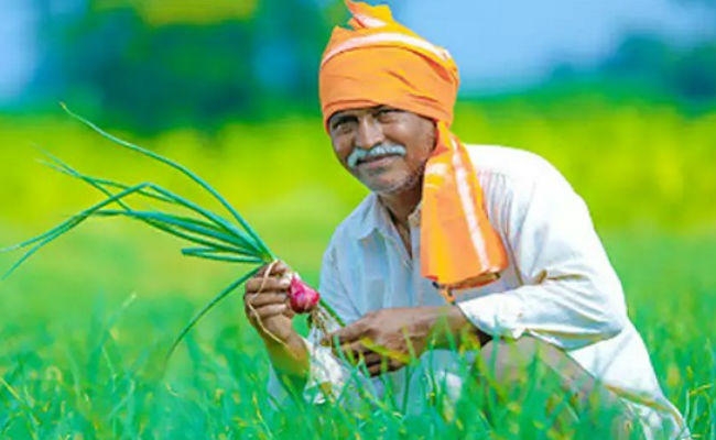 60 साल के बुजुर्ग किसानों को अब जल्द ही मिलने लगेगी 3000 रुपये हर महीने पेंशन, शुरू हो गया रजिस्ट्रेशन
