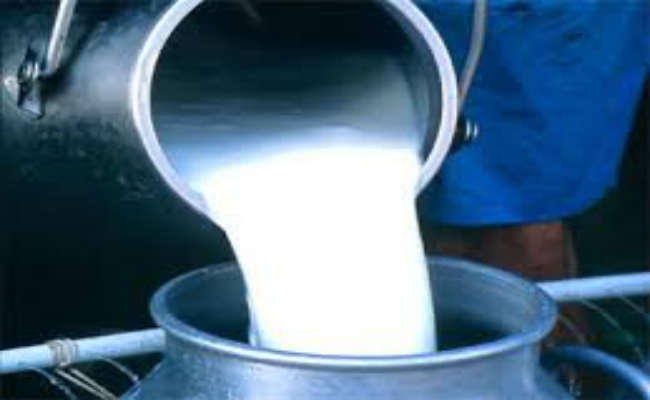दूध उत्पादन बढ़ाने को पशुपालकों को अनुदानित दर पर मिलेगी गाय