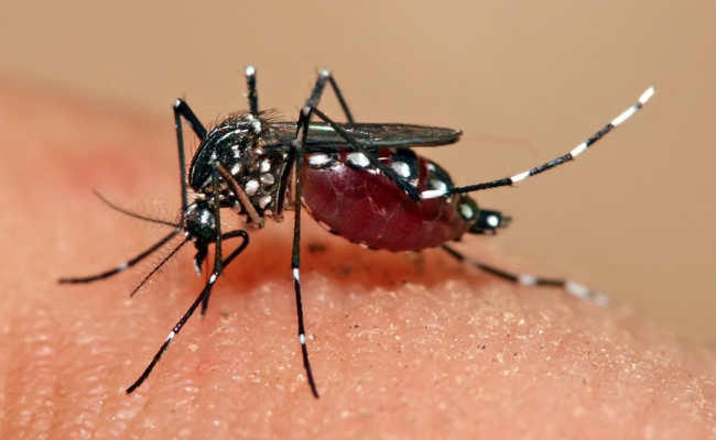 शहर में डेंगू का कहर, पार्षद लगा रहे ठुमके