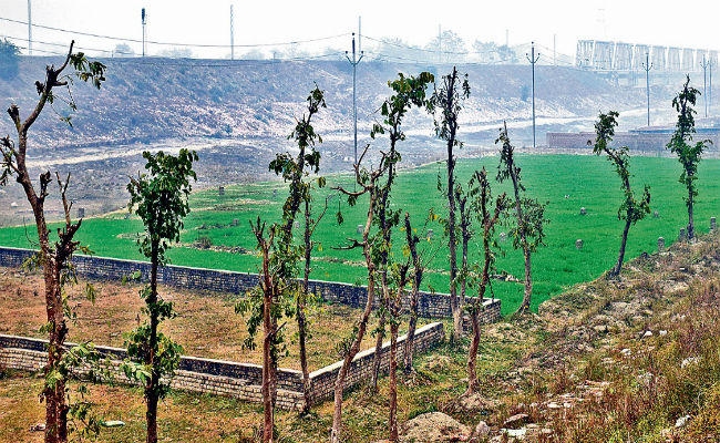 देश का सबसे अधिक प्रदूषित शहर है बिहार का मुजफ्फरपुर, अभी भी चल रही है हरियाली पर कुल्हाड़ी