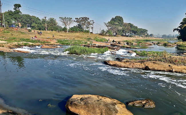 गंदगी से पटे हैं शहर के तालाब, अधिकारियों को नहीं है ख्याल