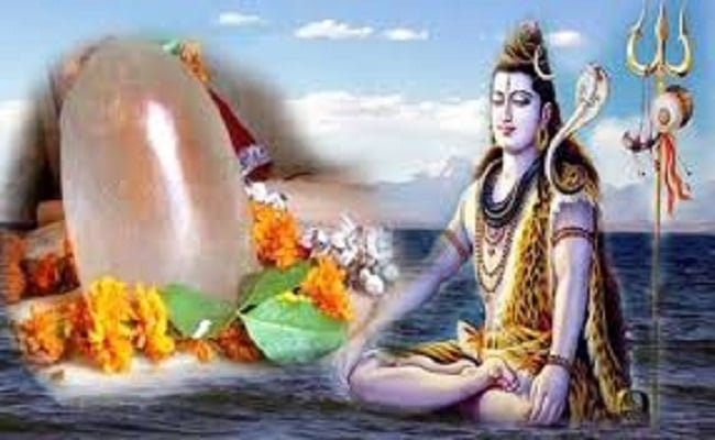 Nag Panchami 2020: नाग पंचमी आज, जानें कालसर्प दोष से मुक्ति पाने के लिए पूजा विधि, मंत्र और शुभ मुहूर्त
