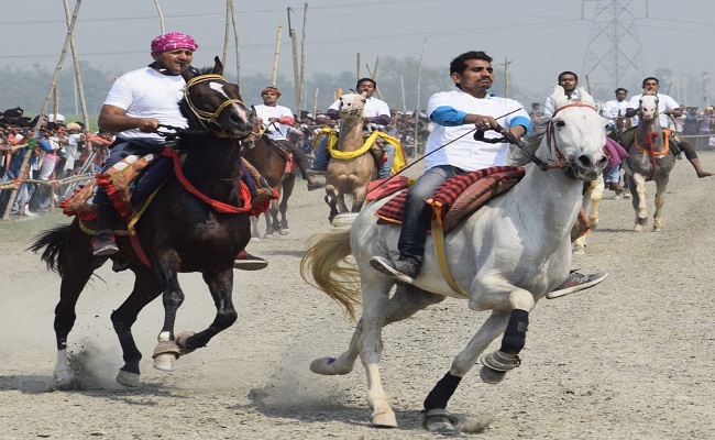 घुड़दौड़ प्रतियोगिता में भाग लेने बिहार आए 75 घोड़े, बेताज बादशाह और बोल्ट कई राज्यों से आए घोड़ों के बीच मुकाबला