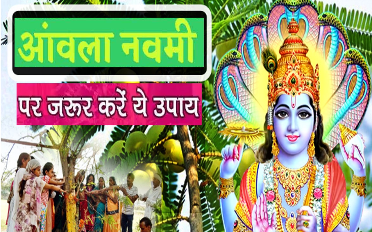 Amla Navami 2022 Upay: आंवला नवमी आज, भगवान विष्णु की कृपा पाने के लिए जरूर करें ये उपाय