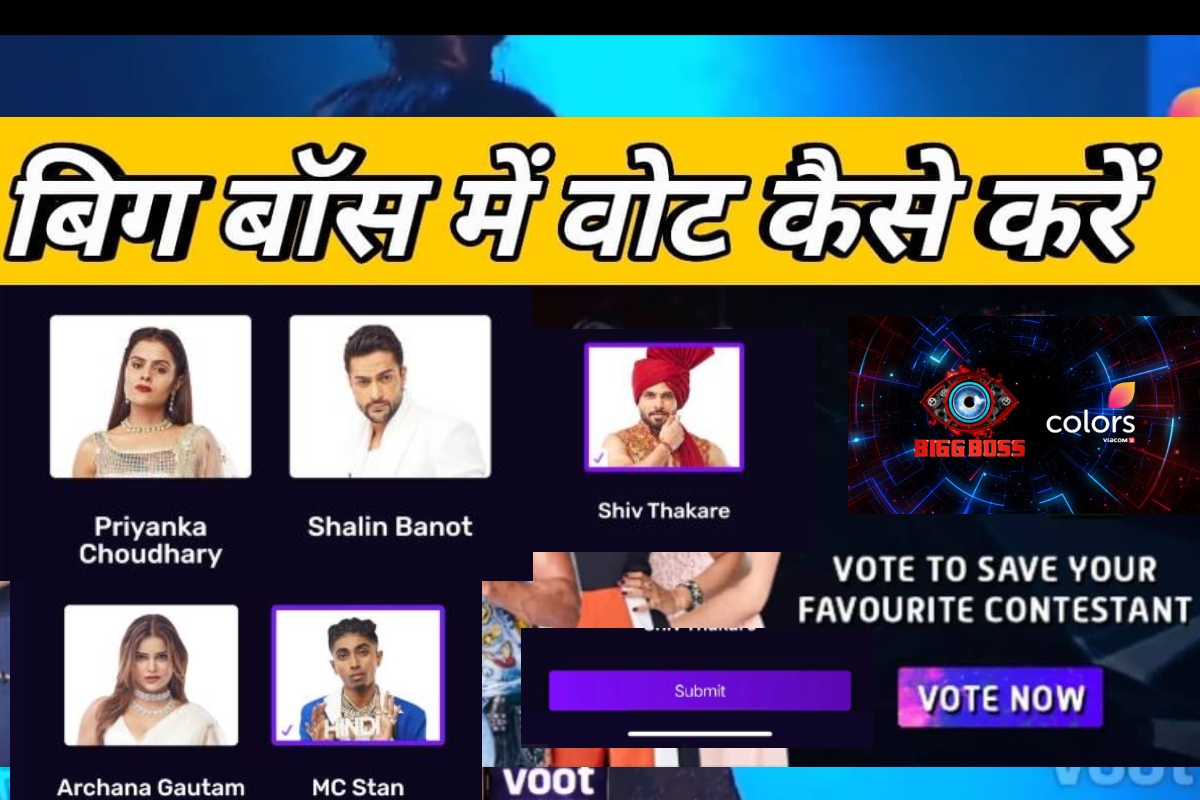 Bigg Boss 16 Winner: कौन जीतेगा बिग बॉस 16 का खिताब, अपने फेवरेट कंटेस्टेंट को जीताने के लिए ऐसे करें वोट