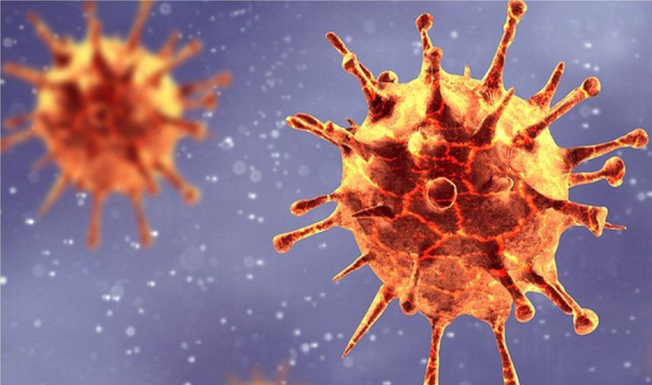 Coronavirus in Bihar : मुजफ्फरपुर में नहीं थम रहा मौत का आंकड़ा, हर दो घंटे पर हो रही एक की मौत, मिले 515 नये पॉजिटिव