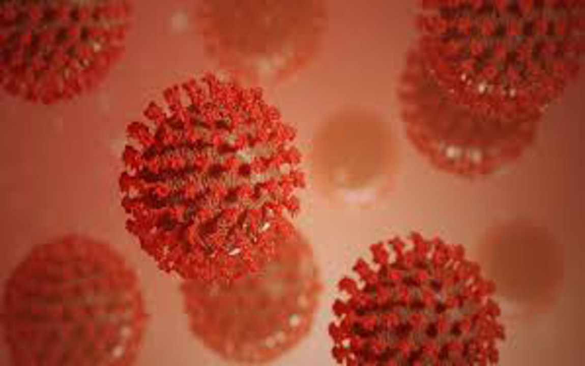Coronavirus in Jharkhand : बोकारो में 370 पहुंची कोरोना संक्रमितों की संख्या, 155 लोग हो चुके हैं स्वस्थ