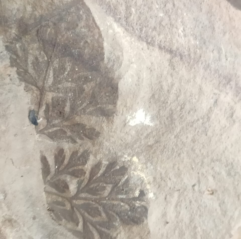 झारखंड में मौजूद हैं डायनासोर के अंडों के जीवाश्म!