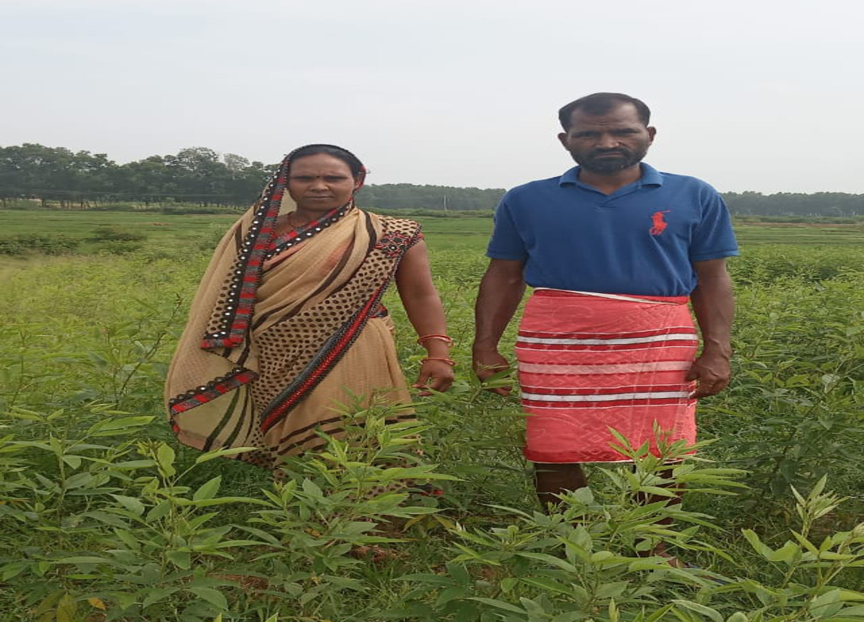 मॉनसून आने से पहले अच्छी बारिश से खुश हैं गुमला के किसान, खेती की तैयारी में जुटे