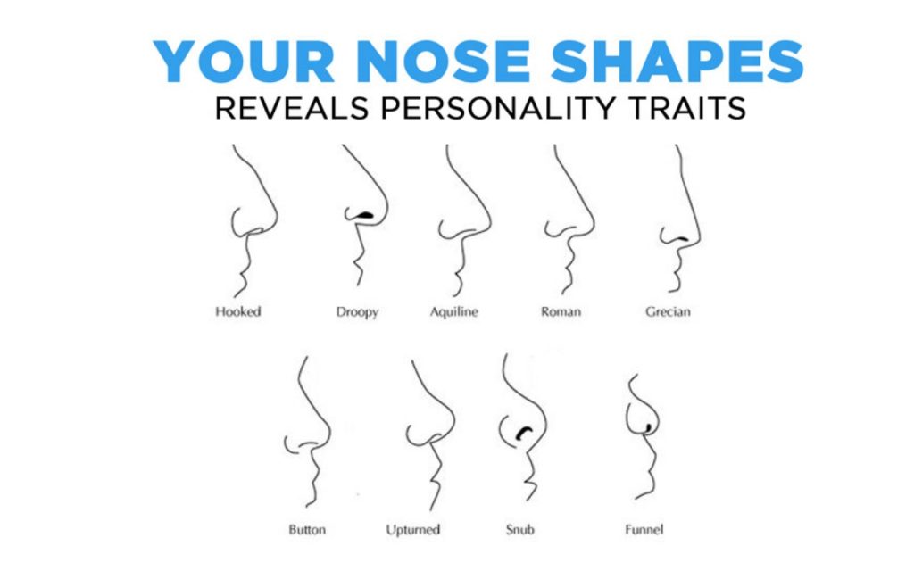 Nose-Shape-Personality-Traits-In-Hindi-Know-yourself