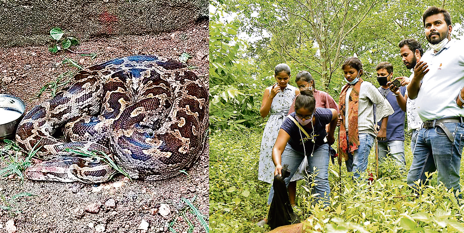 बेजुबान धड़कनों को बचाने में जुटी पलामू की बेटियां, वर्ल्ड लाइफ रेस्क्यू टीम बनाकर कर रहीं काम